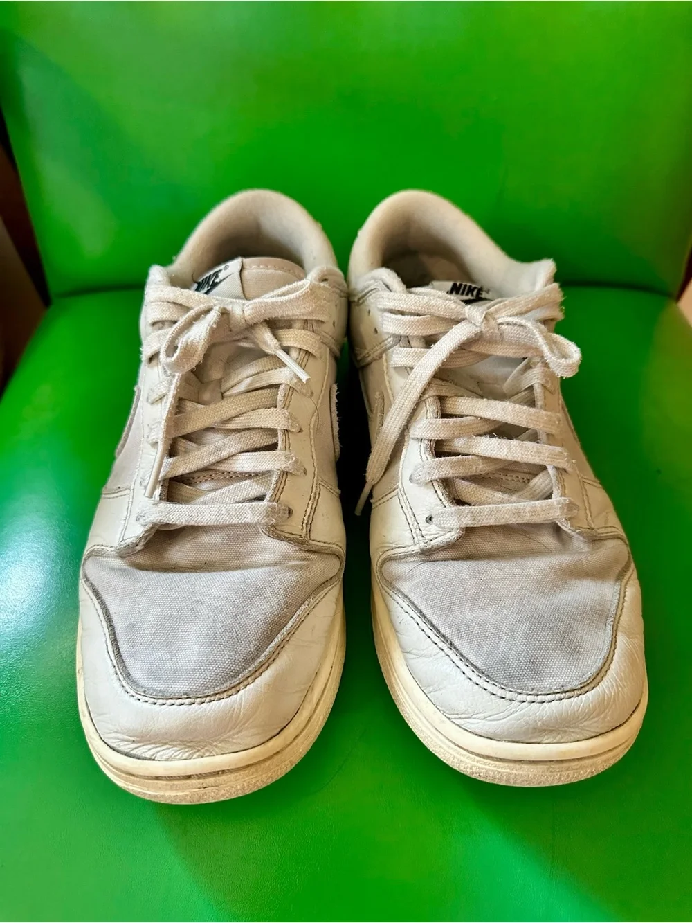 Nike Dunk Men's Sneakers